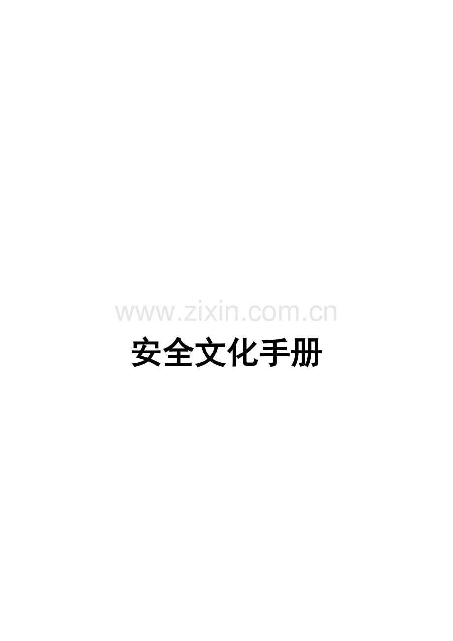 标准化煤矿安全文化手册(绝对经典)-2.doc_第2页