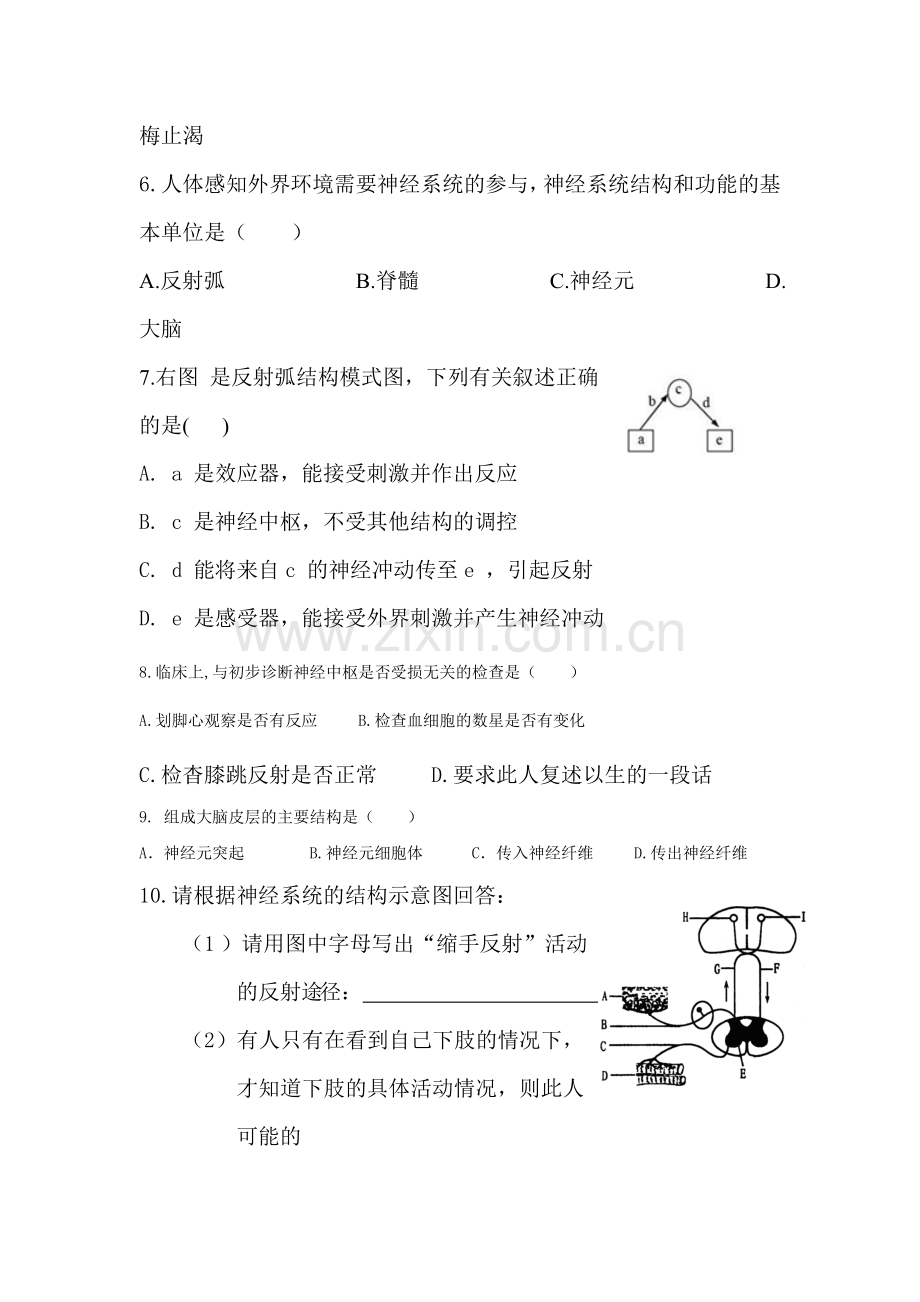 七年级生物神经系统与神经调节同步练习.doc_第2页