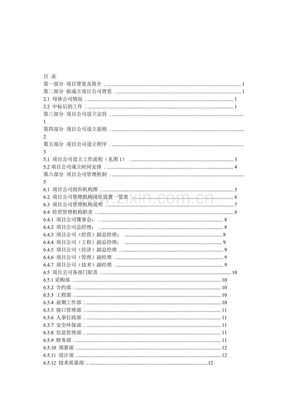 项目公司成立方案.doc_第1页