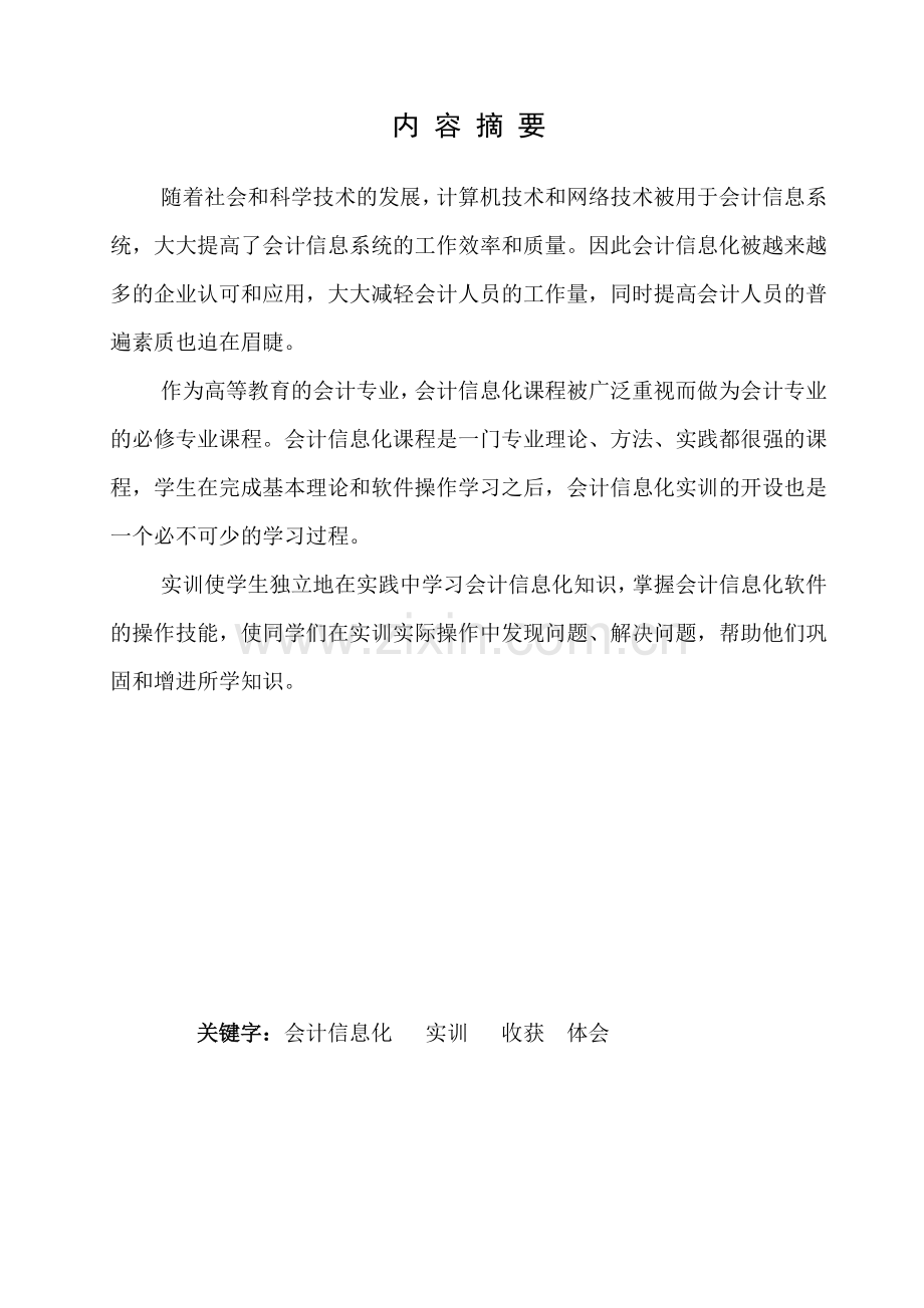 2013会计信息化实训报告.doc_第3页