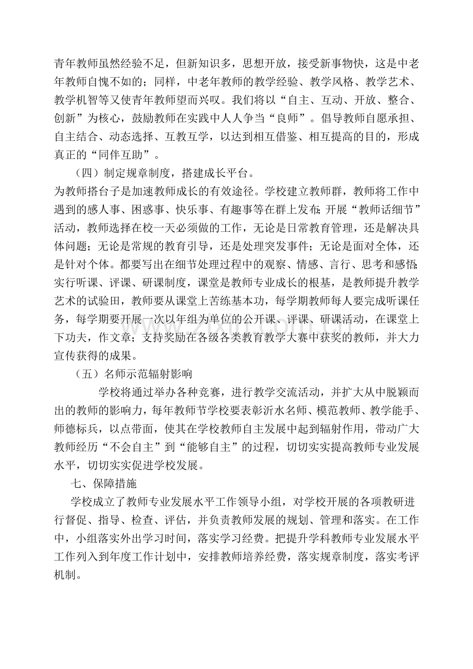 教师专业发展水平提升实施方案.doc_第3页