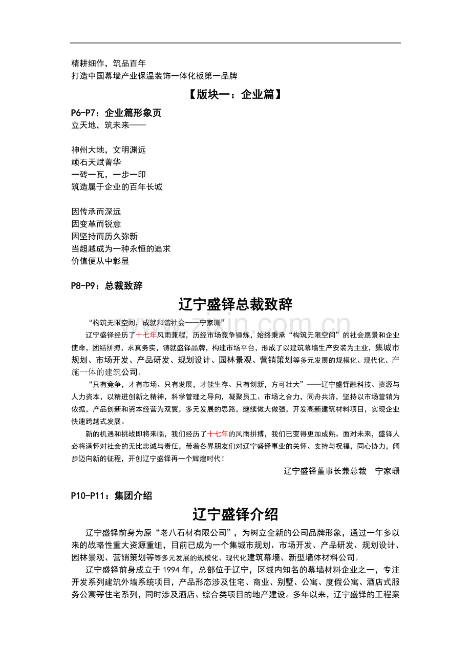 企业品牌宣传方案.doc_第2页