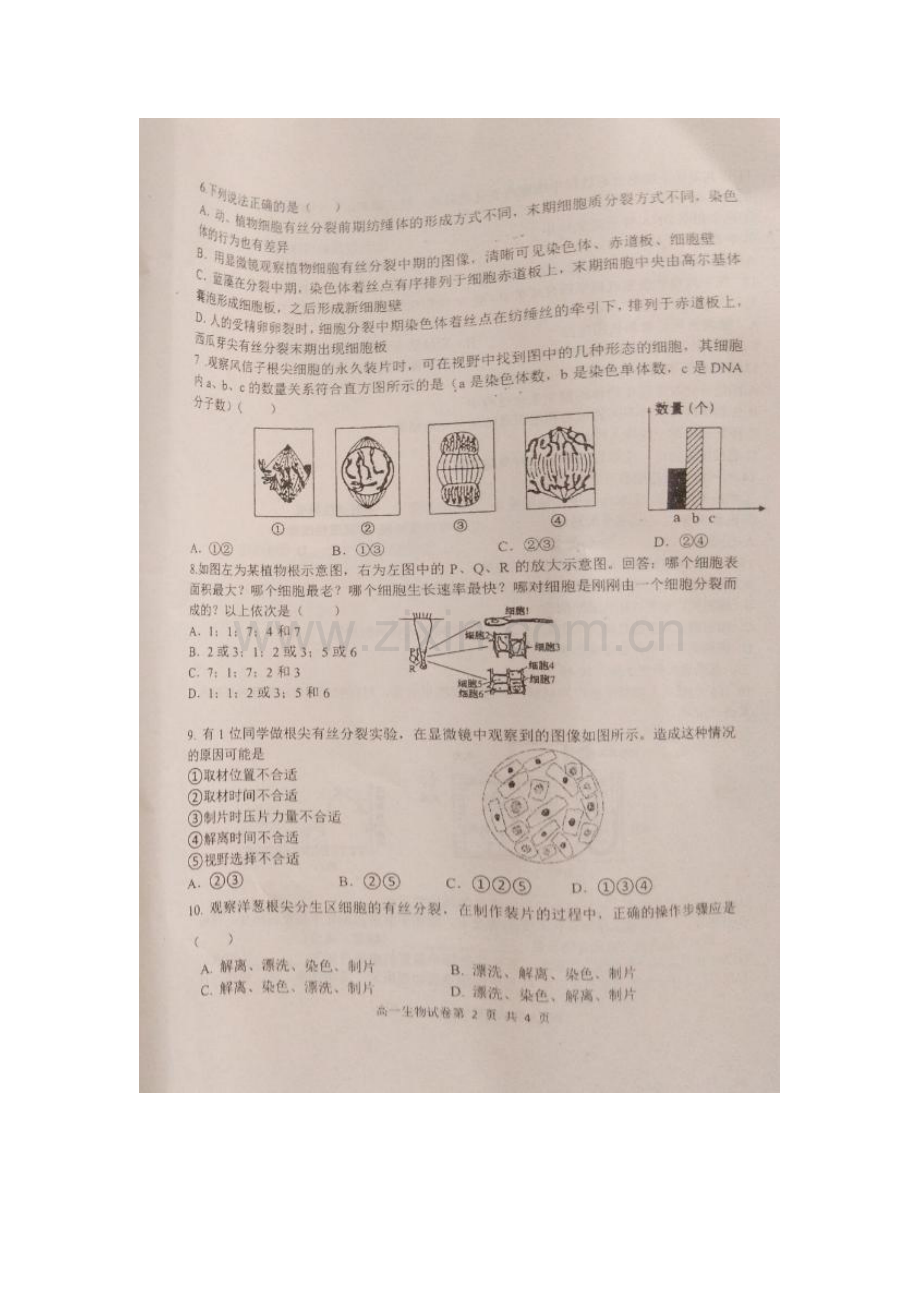 高一生物下册期中考试试卷4.doc_第2页