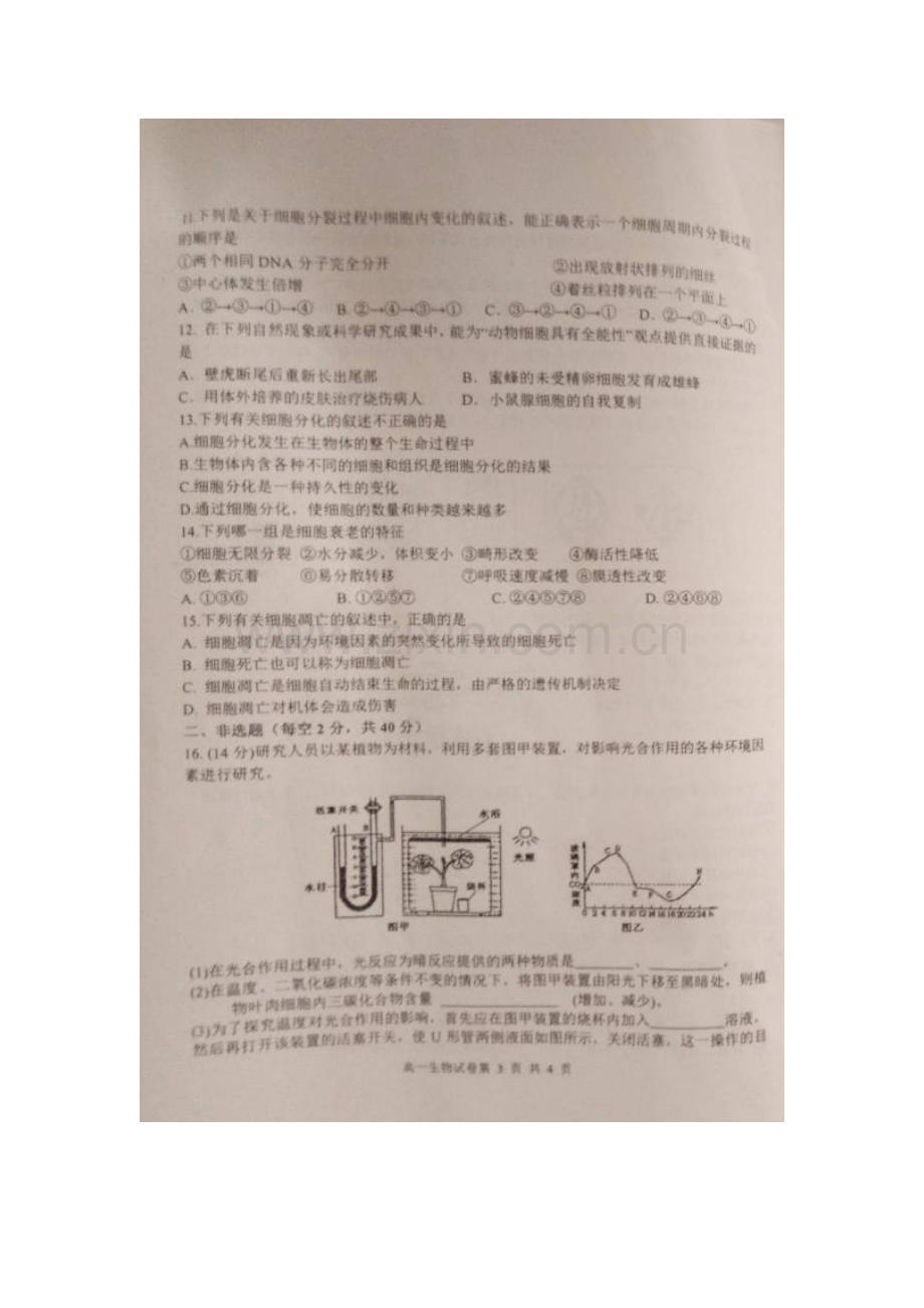 高一生物下册期中考试试卷4.doc_第3页