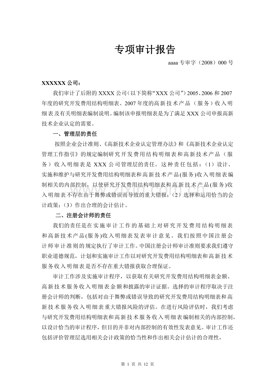 专项审计报告高新科技.doc_第1页