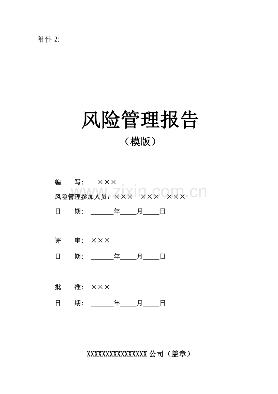 风险管理报告(模板).doc_第1页