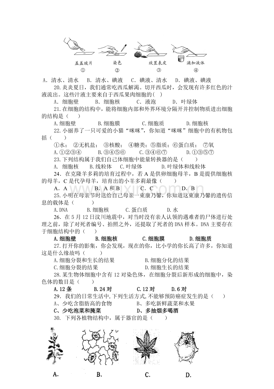 七年级生物上册期中考试题4.doc_第3页