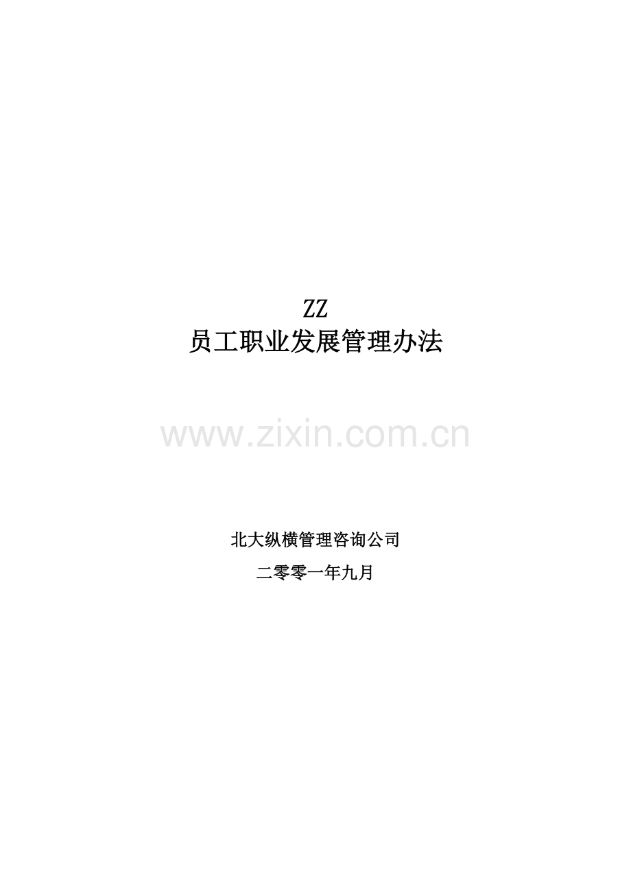 员工职业发展管理办法.doc_第3页