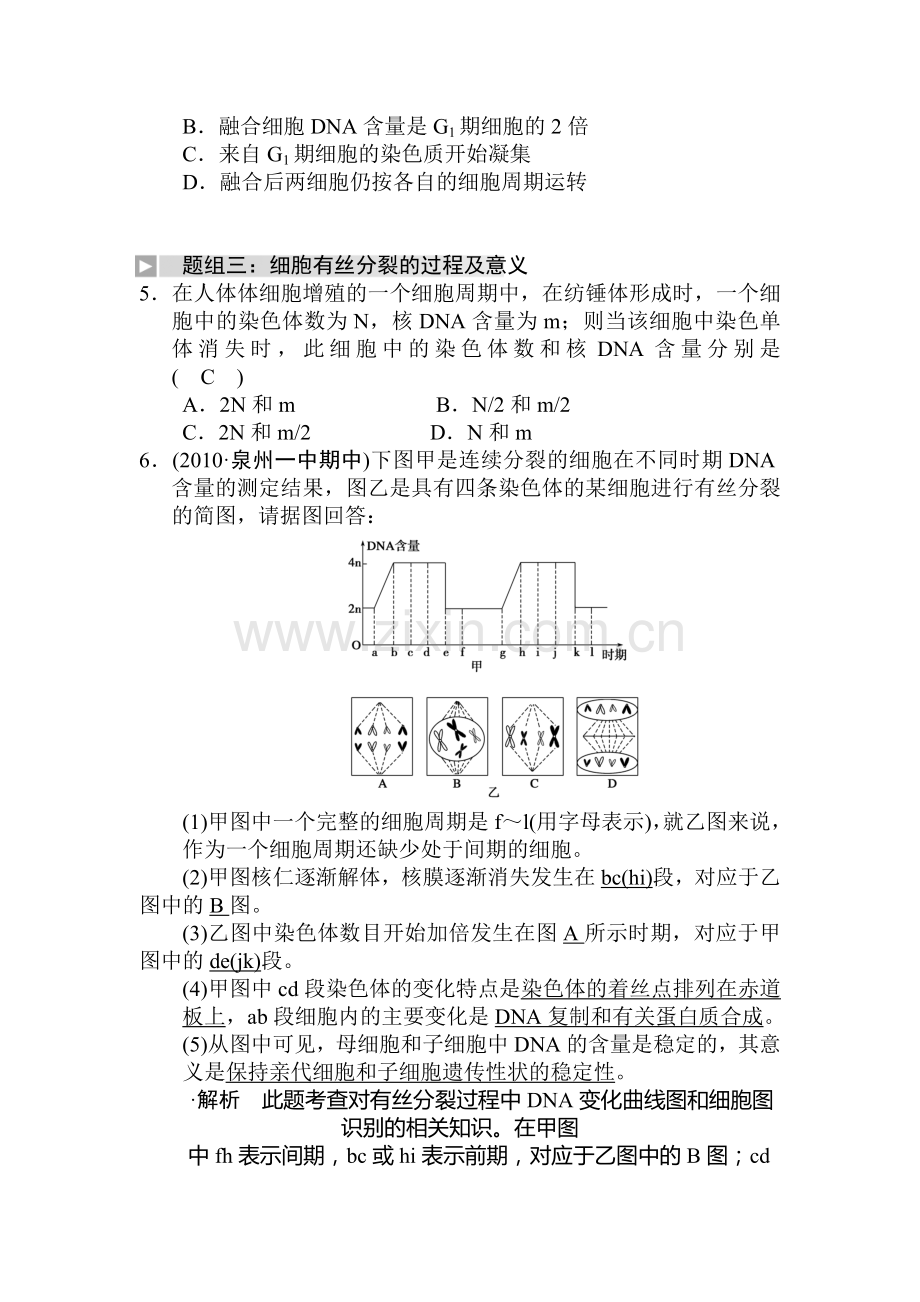 高二生物细胞的增殖复习检测.doc_第2页