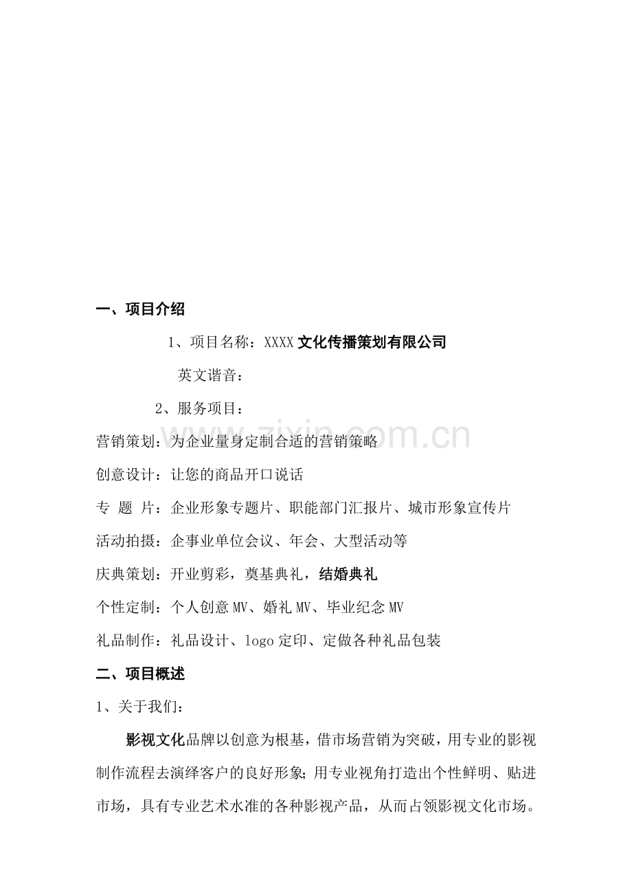 某某文化传播公司策划.doc_第1页