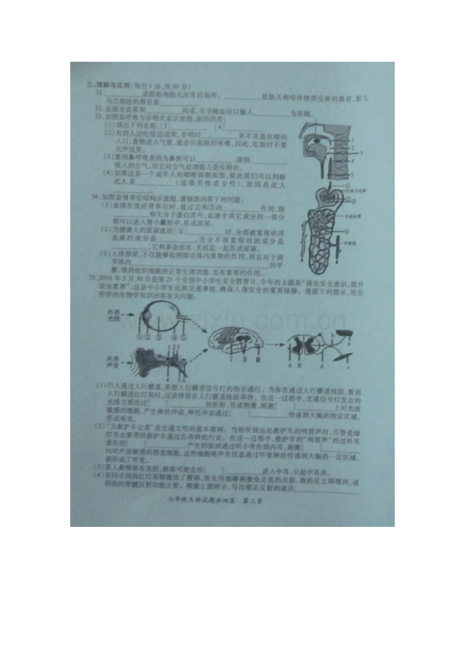 广东省潮州市2015-2016学年七年级生物下册期末考试题2.doc_第3页