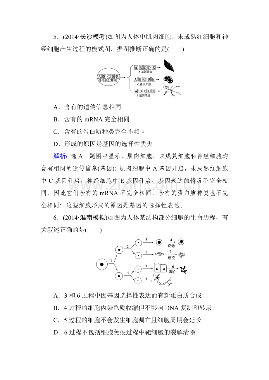 2015届高考生物第一轮知识点总复习检测题31.doc_第3页