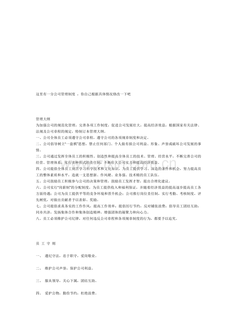 这里有一分公司管理制度.doc_第1页