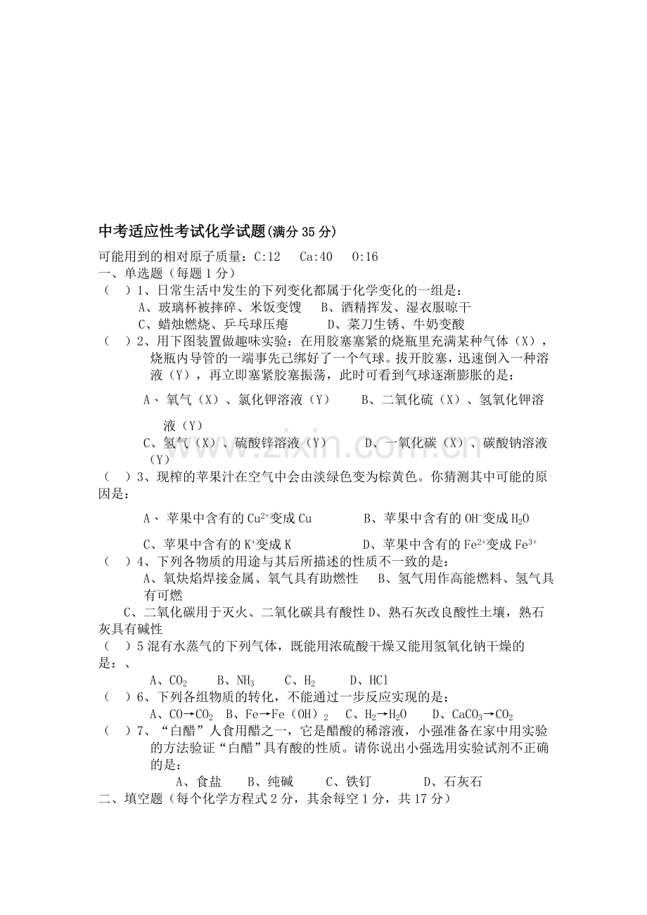 中考适应性考试化学试题.doc_第1页