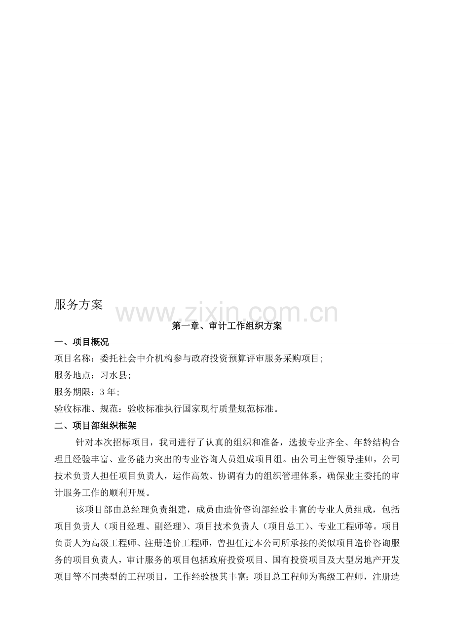 审计服务方案.doc_第1页