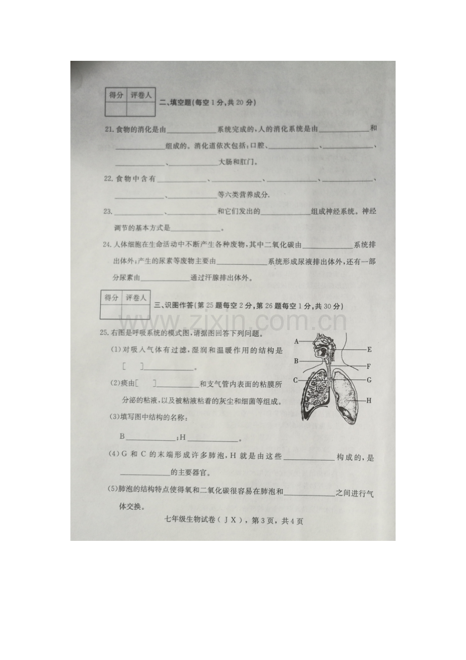 河北省井陉县2015-2016学年七年级生物下册期末考试题.doc_第3页