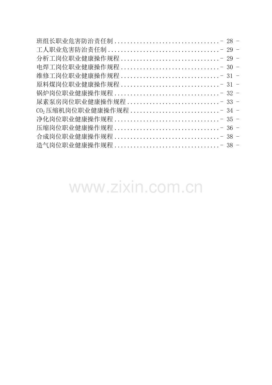 煤化工公司职业健康安全管理制度、责任制、操作规程...doc_第2页