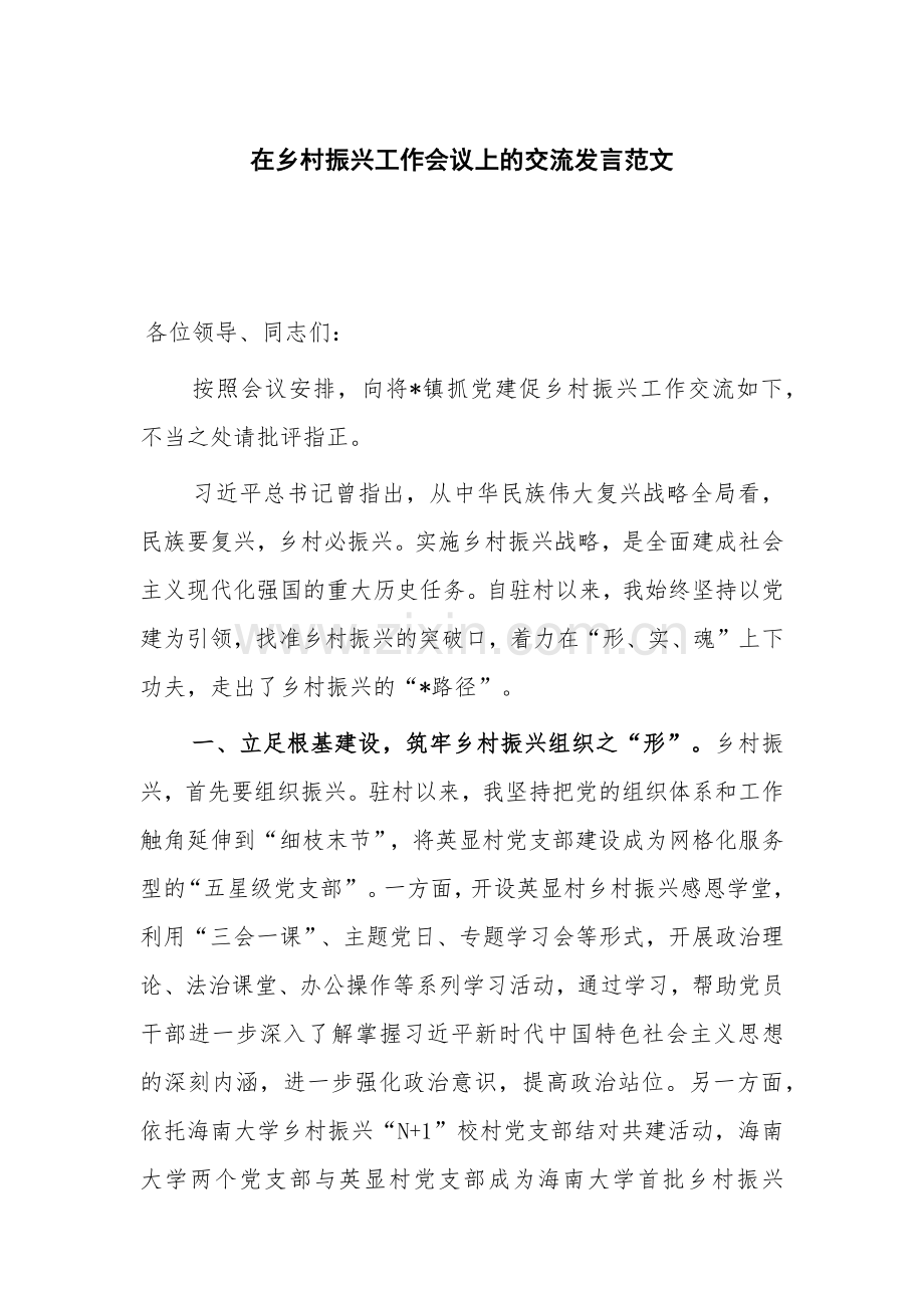 在乡村振兴工作会议上的交流发言范文.docx_第1页