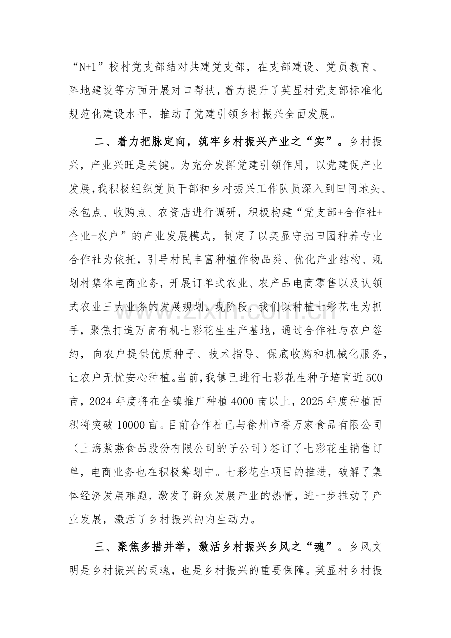 在乡村振兴工作会议上的交流发言范文.docx_第2页