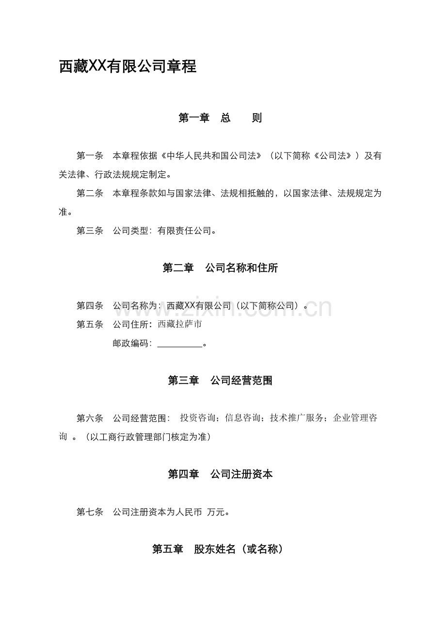 西藏公司章程(执行董事).doc_第1页