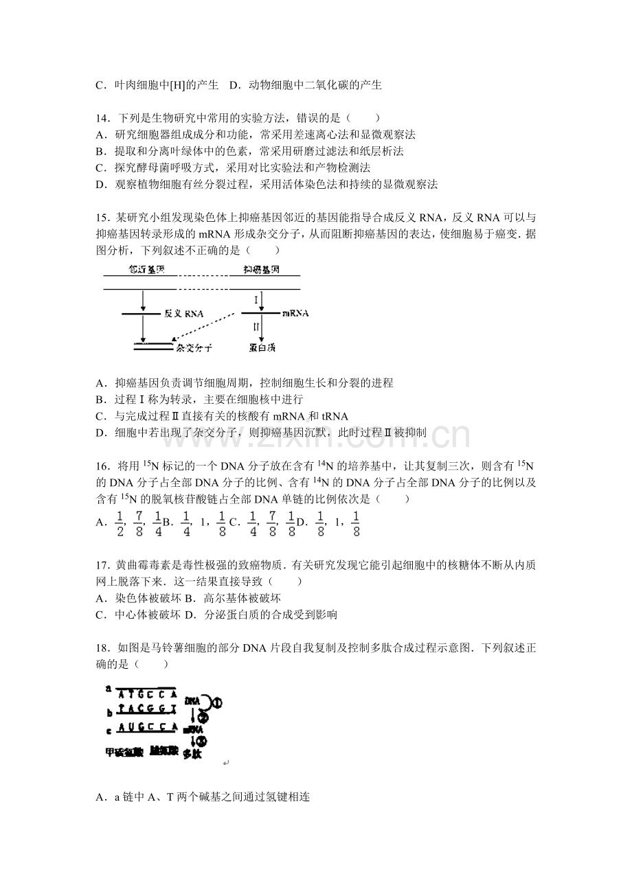 山东省威海市2016届高三生物上册期中试题1.doc_第3页