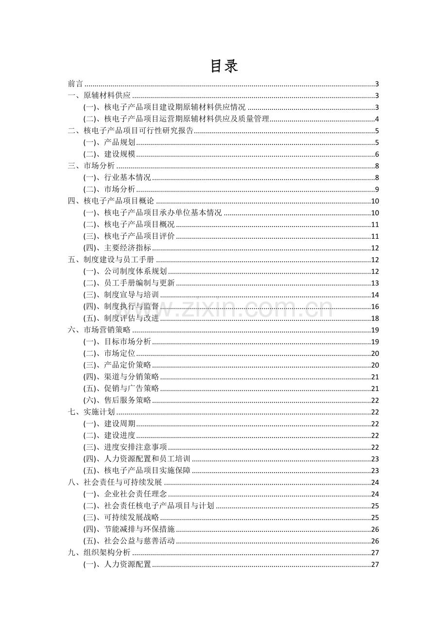 2024年核电子产品项目可行性分析报告.docx_第2页