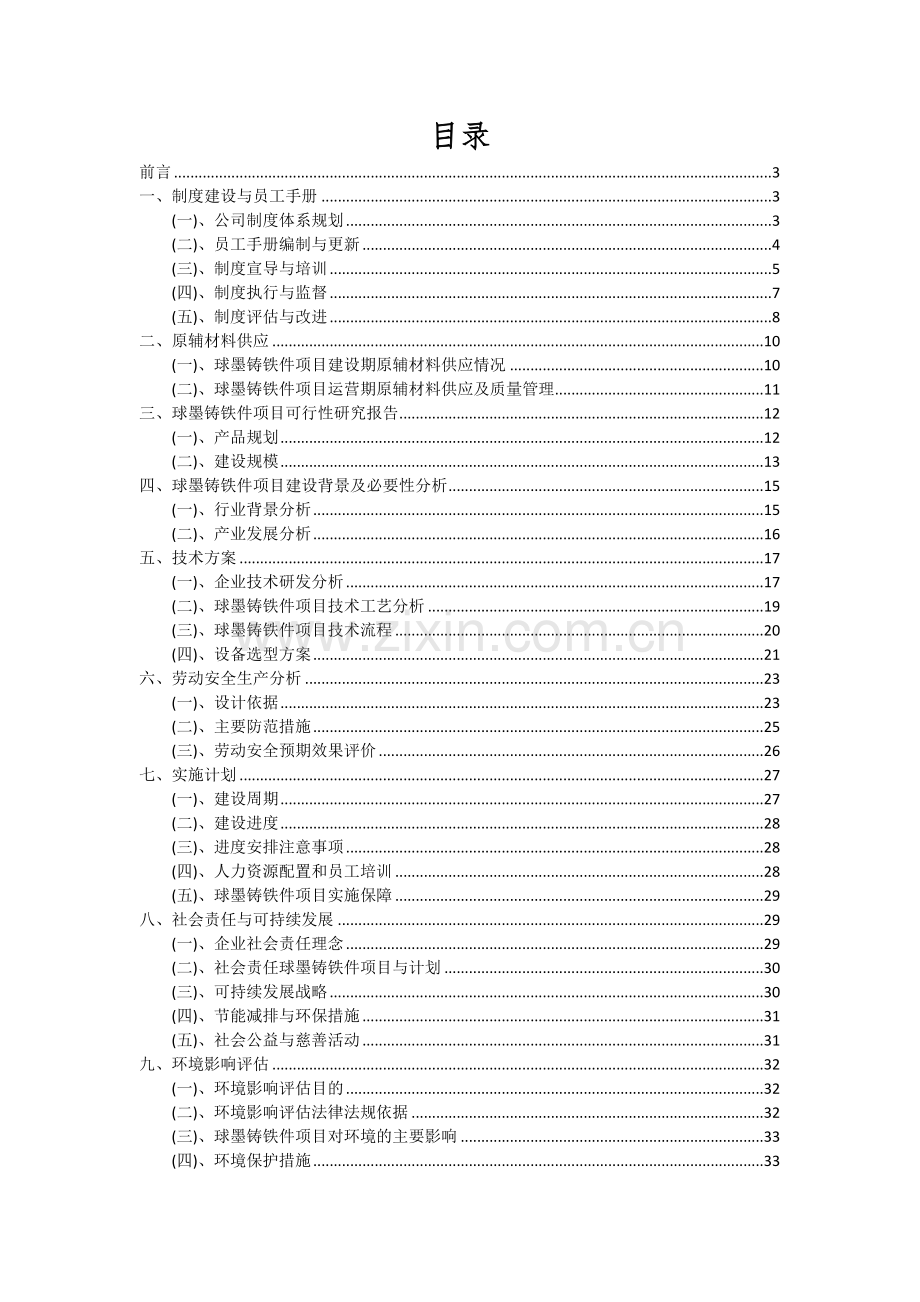 2024年球墨铸铁件项目可行性分析报告.docx_第2页