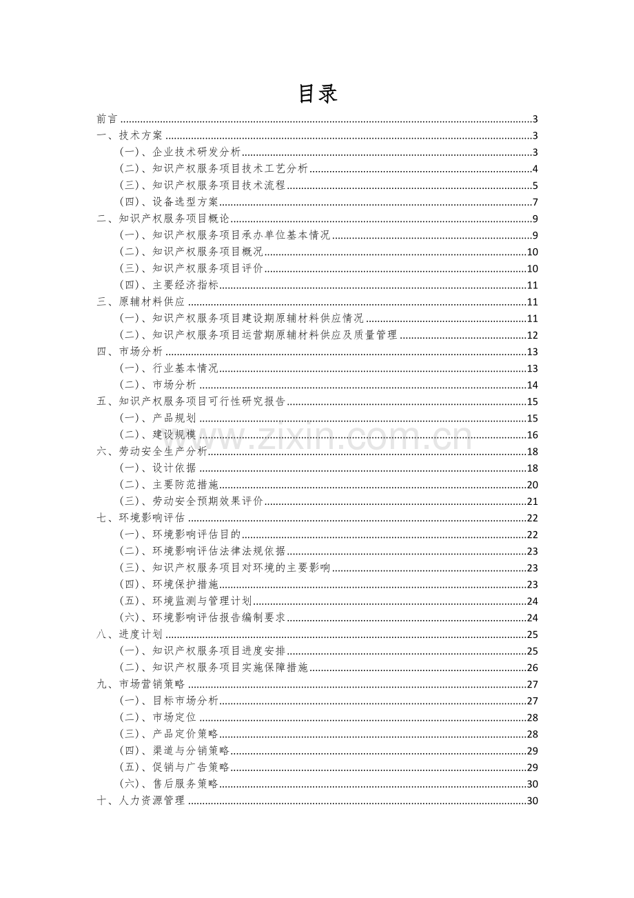 2024年知识产权服务项目可行性研究报告.docx_第2页