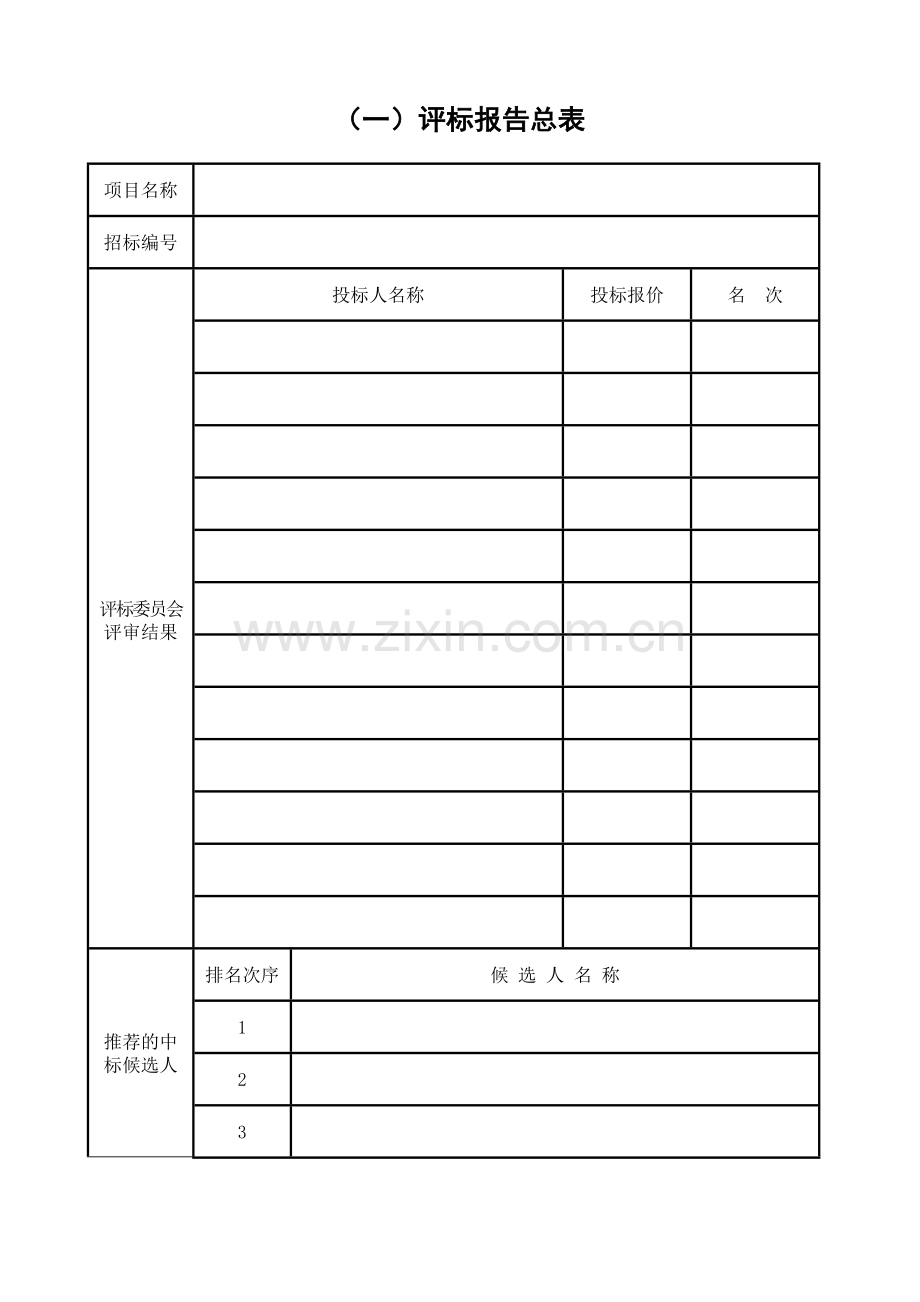 评标报告公开招标.doc_第3页