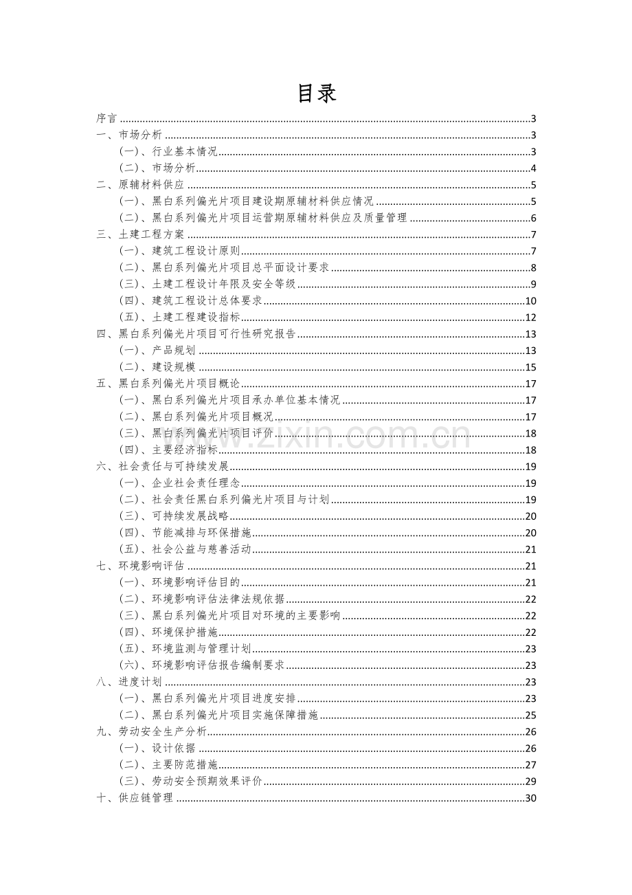 2024年黑白系列偏光片项目可行性研究报告.docx_第2页