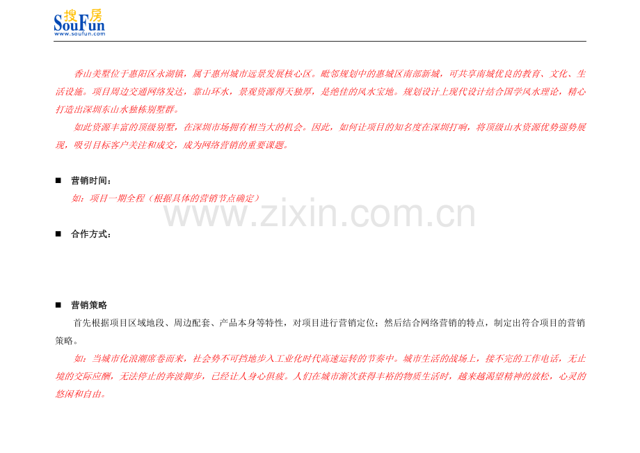 区域炒作类项目网络营销战略合作方案(模板).doc_第3页