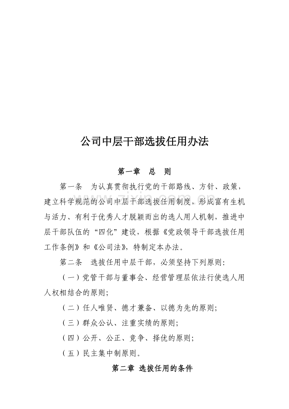 公司中层干部选拔任用办法.doc_第1页