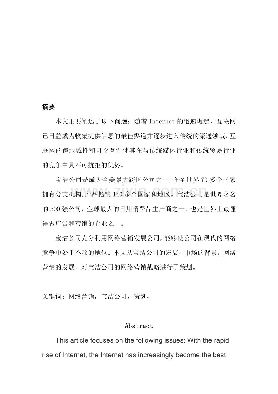 宝洁公司网络营销战略规划方案设计.doc_第1页