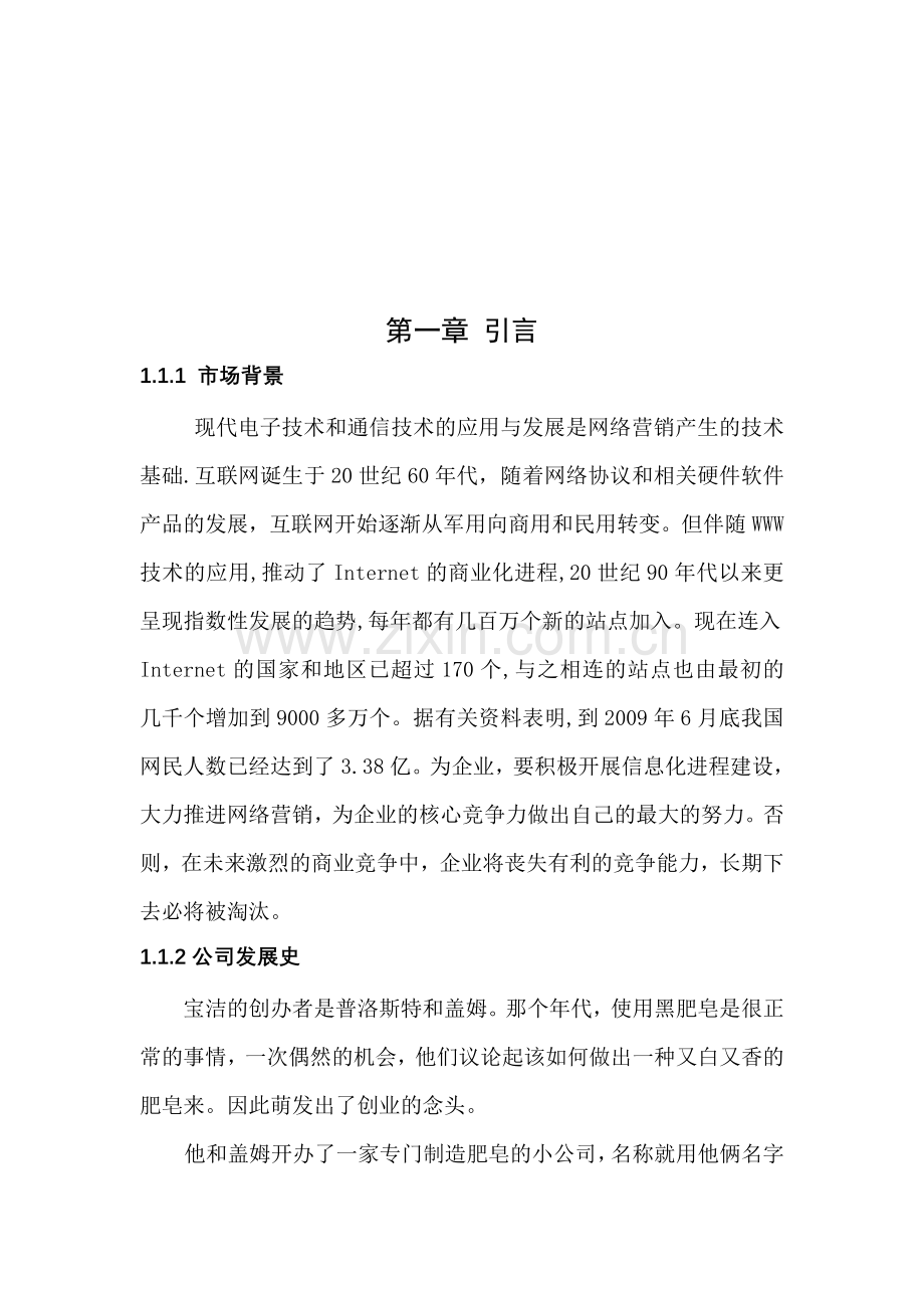 宝洁公司网络营销战略规划方案设计.doc_第3页