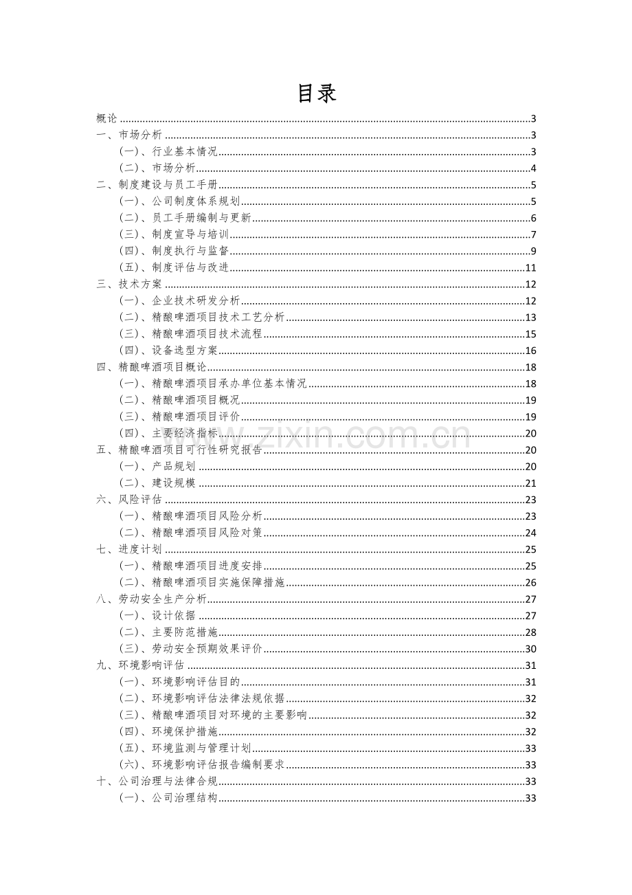 2024年精酿啤酒项目投资分析及可行性报告.docx_第2页