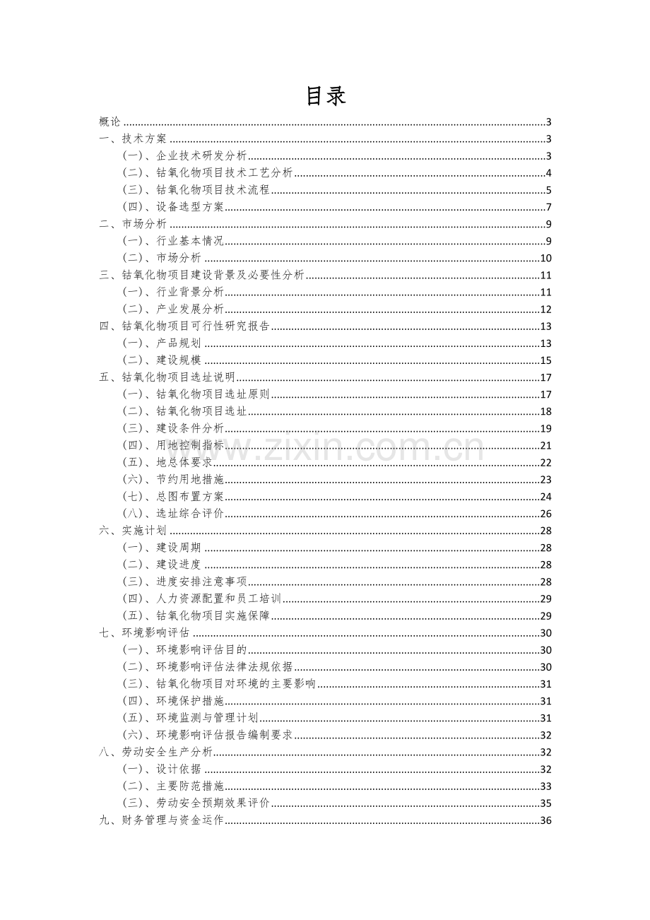 2024年钴氧化物项目可行性研究报告.docx_第2页