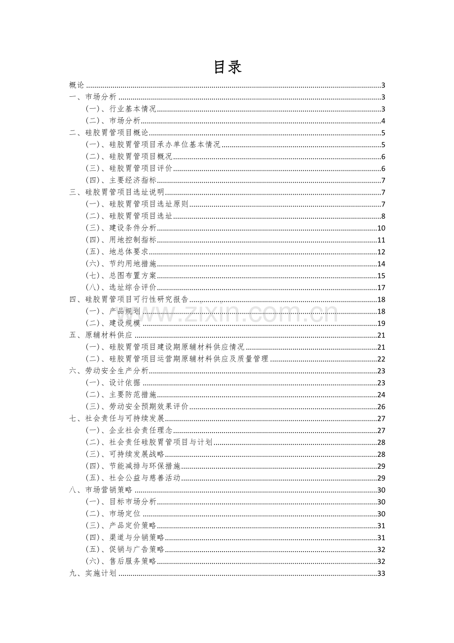 2024年硅胶胃管项目可行性研究报告.docx_第2页