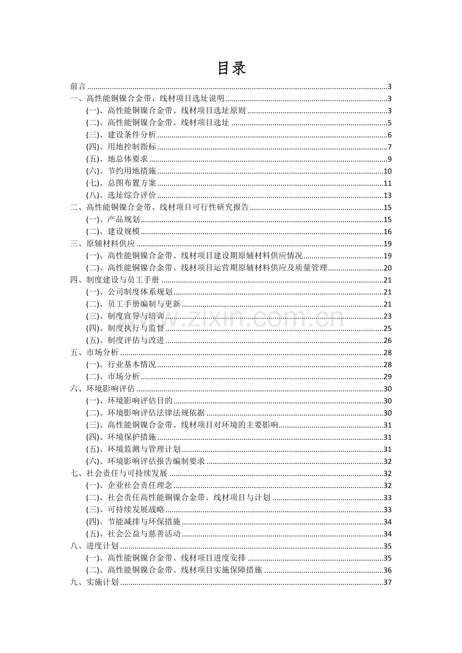 2024年高性能铜镍合金带、线材项目可行性分析报告.docx_第2页