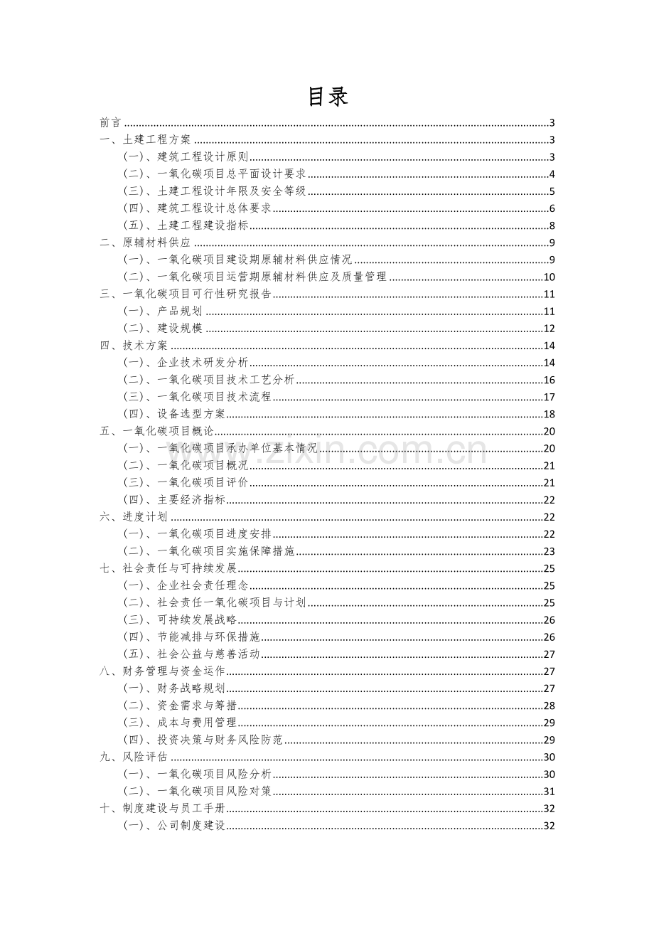 2024年一氧化碳项目深度研究分析报告.docx_第2页