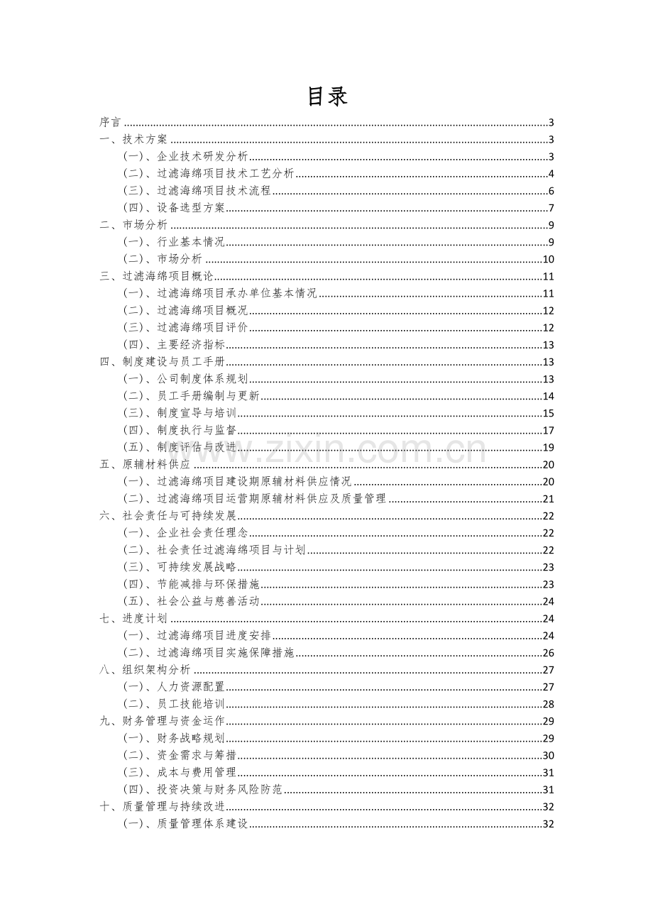 2024年过滤海绵项目深度研究分析报告.docx_第2页