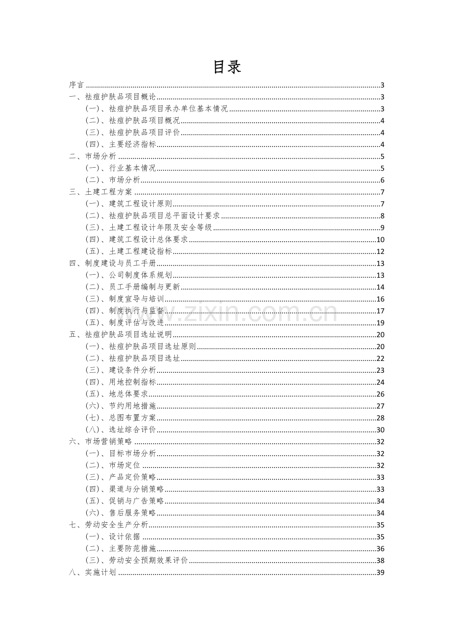 2024年祛痘护肤品项目可行性研究报告.docx_第2页