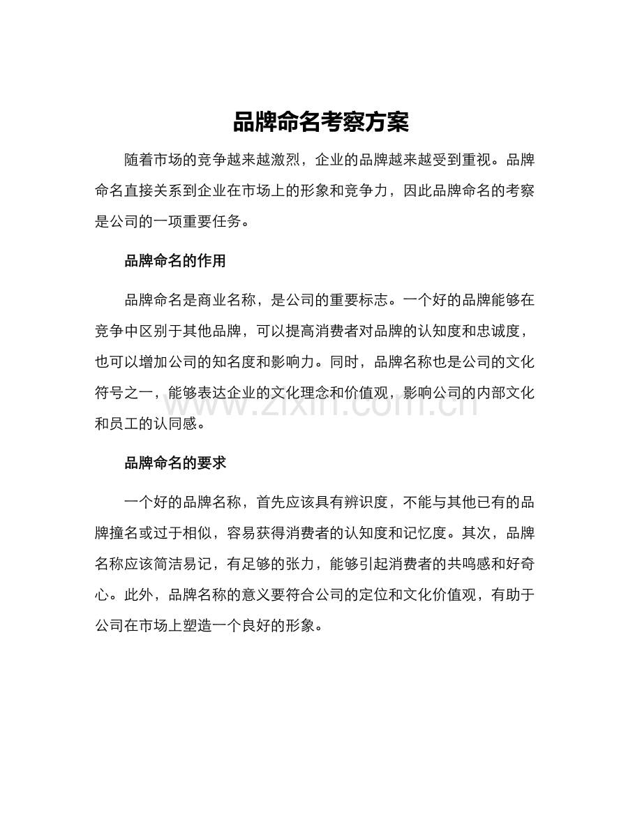 品牌命名考察方案.docx_第1页