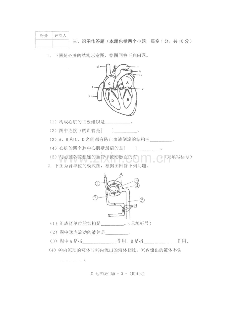 河南省新蔡县2015-2016学年七年级生物下册期末考试题.doc_第3页