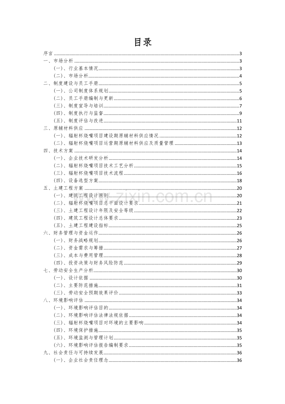 2024年辐射杯烧嘴项目投资分析及可行性报告.docx_第2页