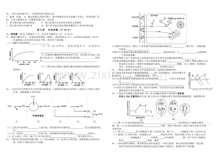 高二生物第一学期期末考试.doc_第3页