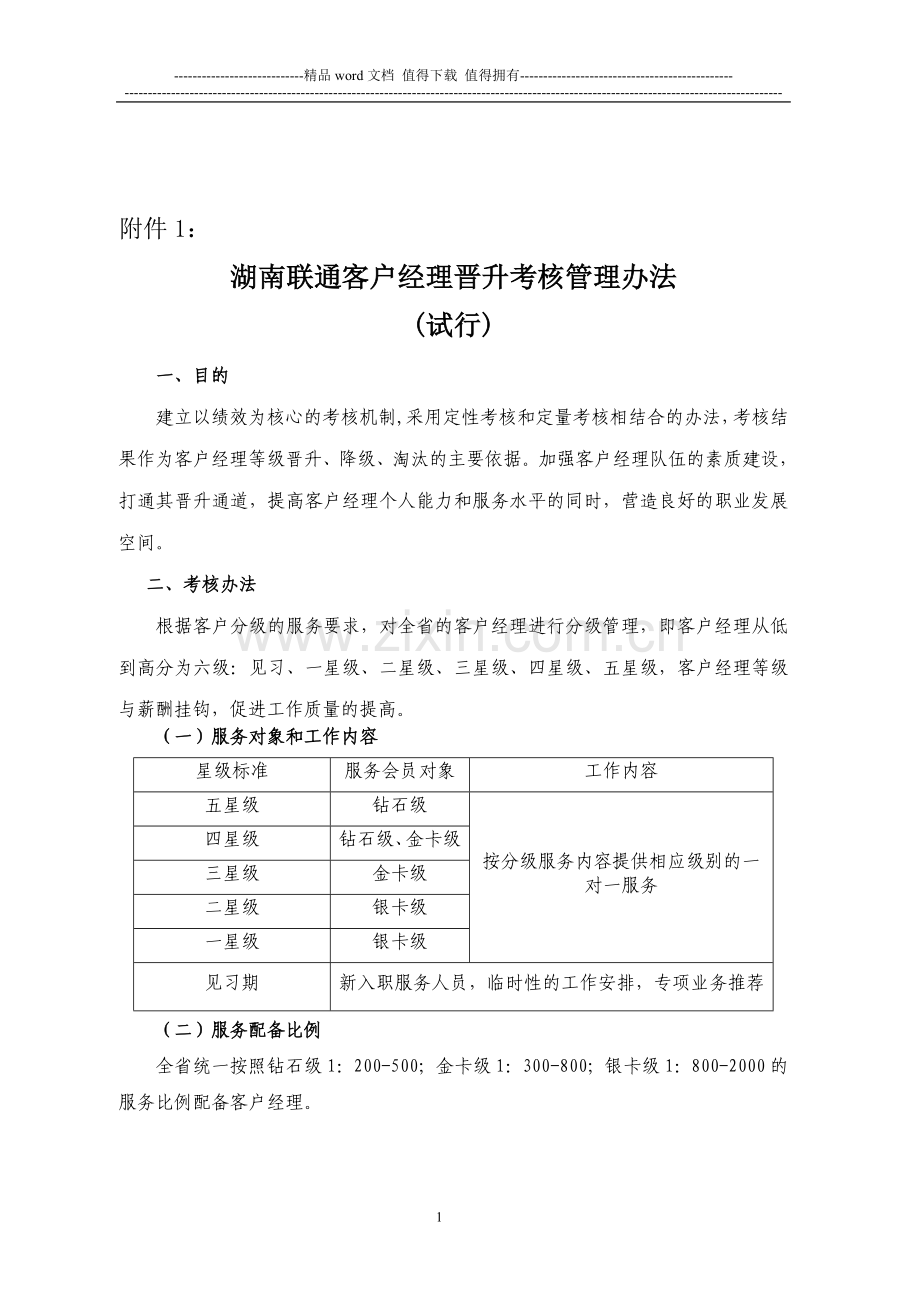 湖南联通客户经理晋升考核管理办法(试行)..doc_第1页