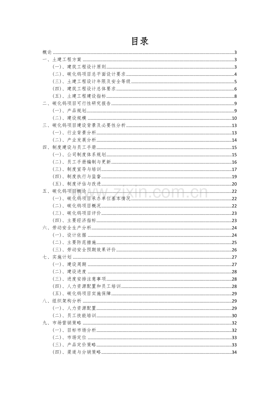 2024年碳化钨项目深度研究分析报告.docx_第2页