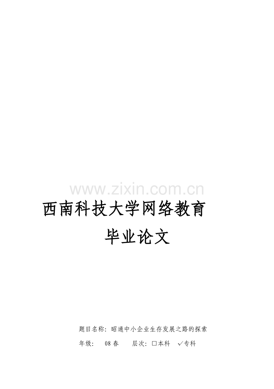 昭通中小企业生存发展之路的探索.doc_第1页