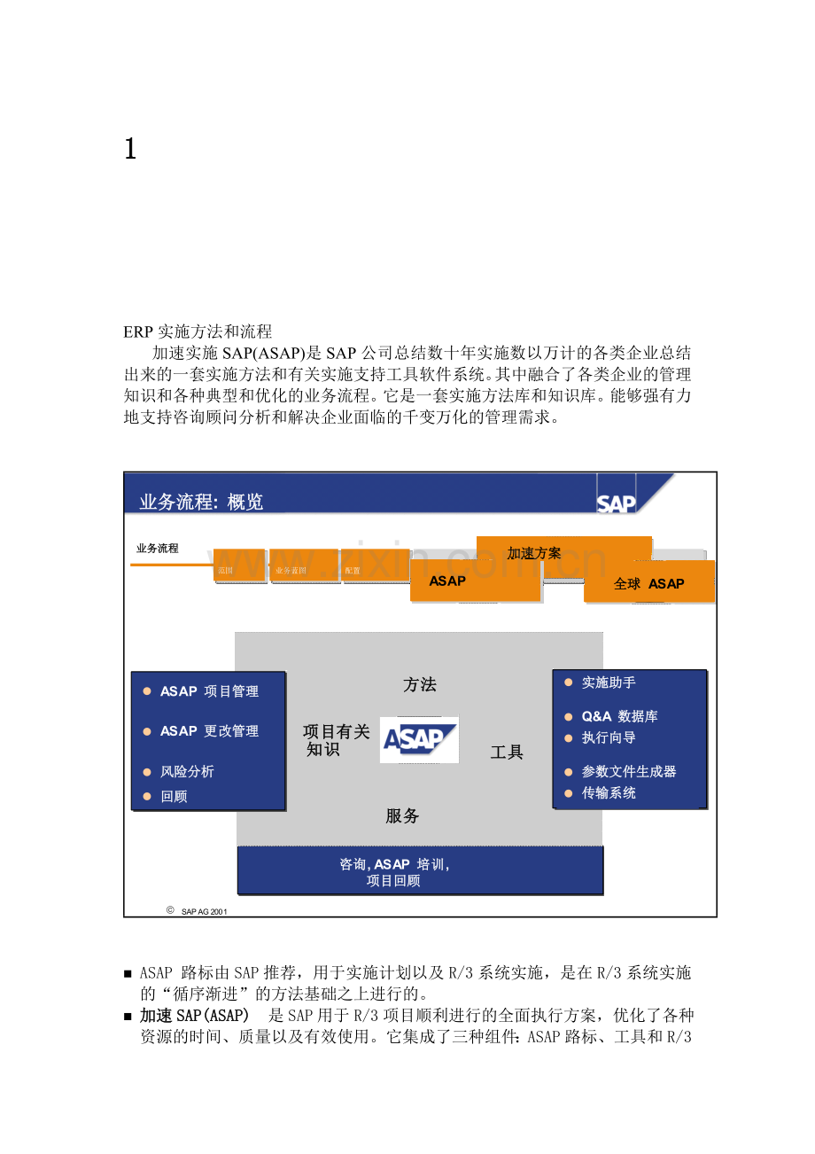 SAP实施方法和流程.doc_第1页