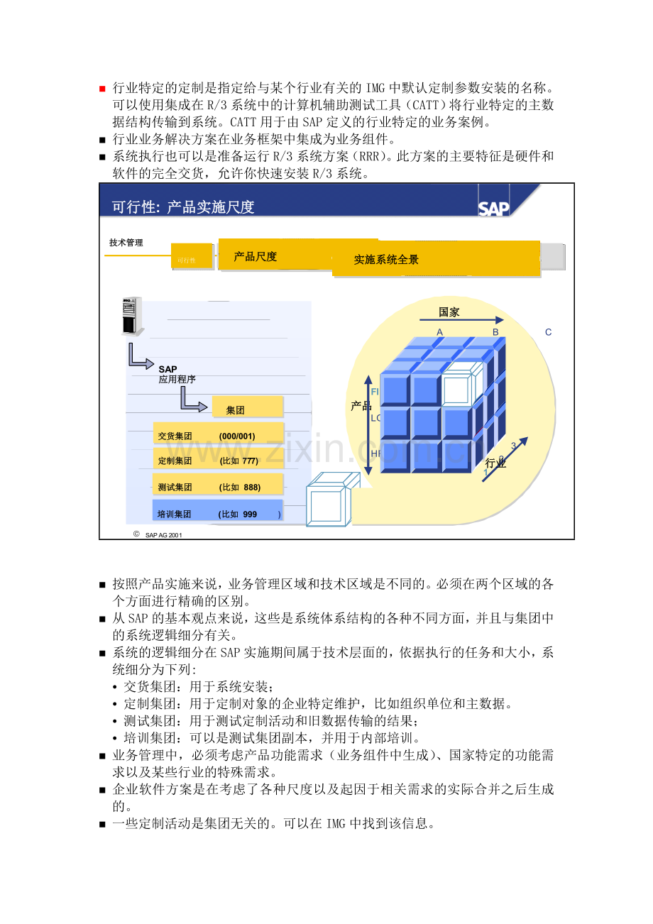 SAP实施方法和流程.doc_第3页